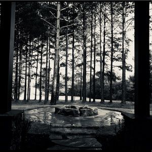 Meet your Posher, Diego